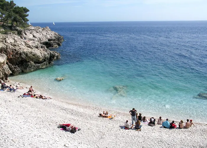 Magnolia By Interhome Pula